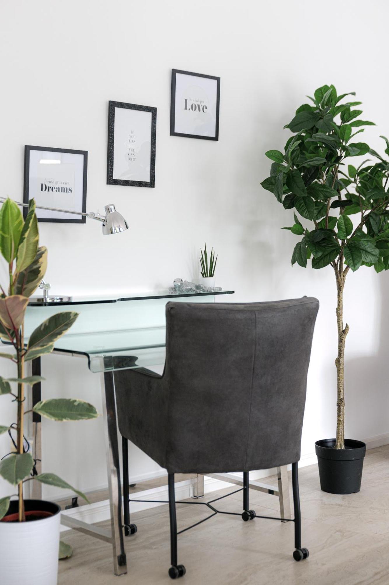 Lulex IV - Traumwohnung Terasse Garten In Neuss Dış mekan fotoğraf
